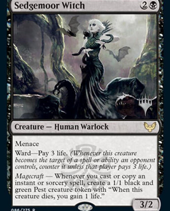 Sedgemoor Witch