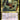 Ingenious Infiltrator (Retro Frame)