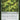 Sylvan Anthem