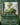Endurance (Borderless)