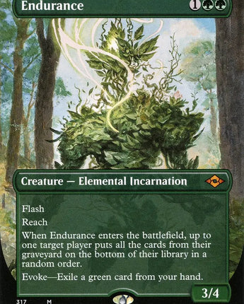 Endurance (Borderless)