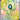 Celebi V (Full Art)