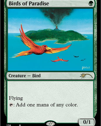 Birds of Paradise (176)