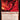 Urabrask the Hidden