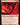 Urabrask the Hidden