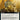 Revivify (Extended Art)