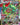 Rayquaza VMAX