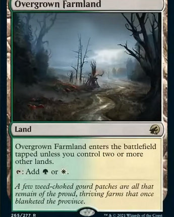 Overgrown Farmland