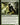 Wolfir Silverheart