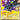 Luxray GL LV.X