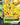 Pikachu V-Union - SWSH141