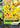 Pikachu V-Union - SWSH141