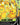 Pikachu V-Union - SWSH142