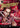 Dismember