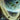 Forest (244) (Borderless)