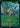 Shigeki, Jukai Visionary (Showcase)