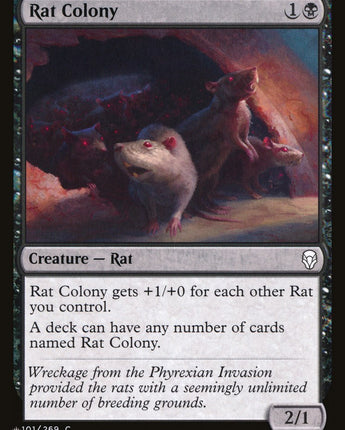 Rat Colony