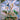 Arceus V (Alternate Full Art)
