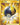 Ultra Ball (Secret)
