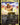 Guile, Sonic Soldier