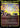 Hall of the Bandit Lord (Neon Yellow)