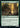 Giant Adephage