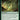 Primeval Bounty
