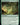 Primeval Bounty