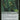 Gilt-Leaf Archdruid