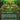 Eternal Witness (Borderless)