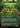 Eternal Witness (Borderless)