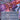 Pithing Needle (Borderless)