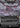 Damnation (Borderless)