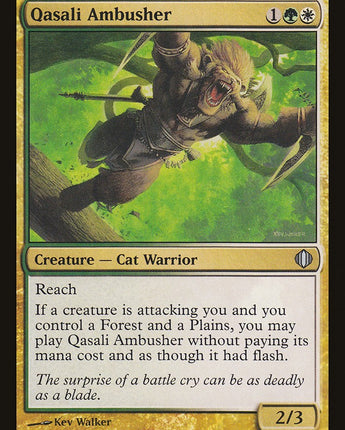 Qasali Ambusher