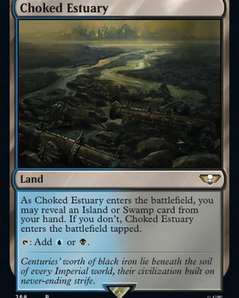 Choked Estuary