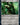 Lychguard