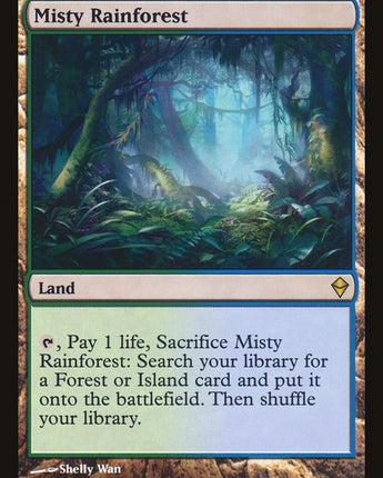 Misty Rainforest