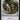 Wurm Token (8)