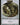 Wurm Token (8)