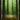 Forest - Full Art