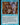 Intuition