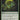 Noxious Revival