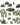 Bolt Action For King & Country - British & Canadian Plastic Starter Army 
