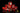 Red Templar Dice 