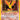 Moltres (12)