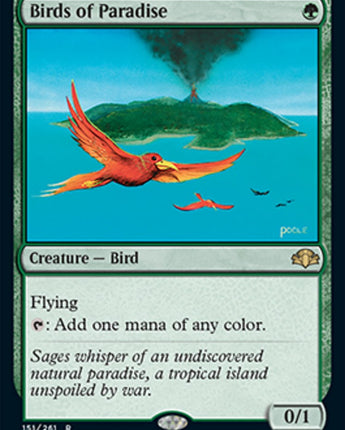 Birds of Paradise