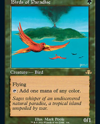 Birds of Paradise (Retro Frame)