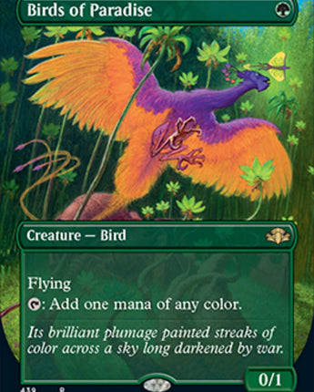 Birds of Paradise (Borderless)