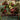 Throw Team-Mate - Fling (Borderless)