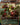 Throw Team-Mate - Fling (Borderless)